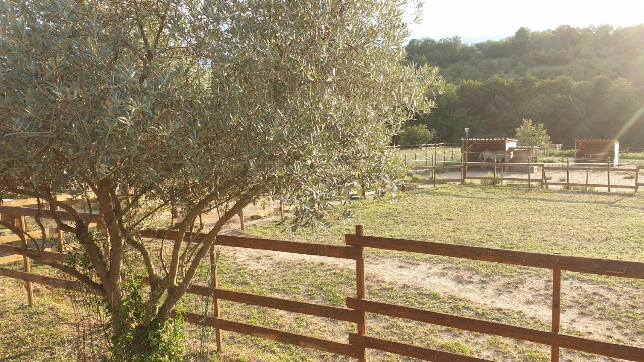 Los Masos Chambre D'Hotes Le Petit Ranch מראה חיצוני תמונה