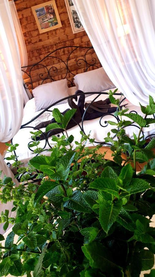 Los Masos Chambre D'Hotes Le Petit Ranch מראה חיצוני תמונה