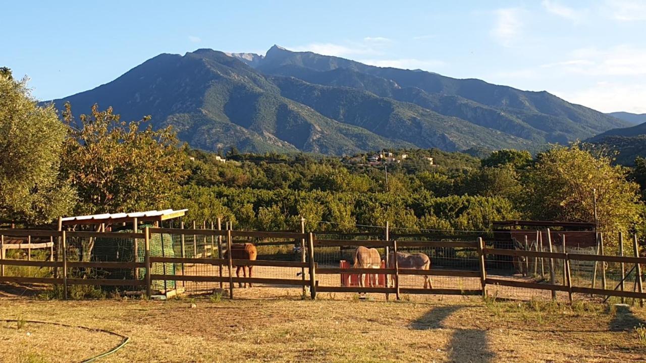 Los Masos Chambre D'Hotes Le Petit Ranch מראה חיצוני תמונה