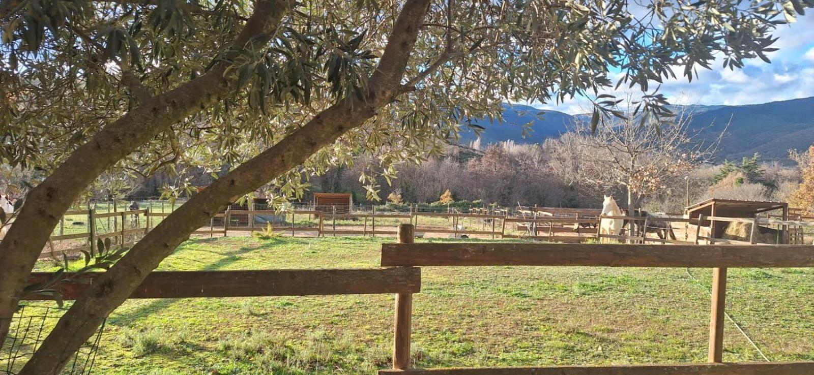 Los Masos Chambre D'Hotes Le Petit Ranch מראה חיצוני תמונה